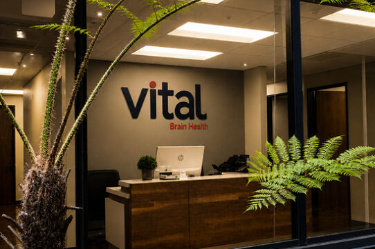 Office reception with "Vital Brain Health" logo on wall, wooden desk, potted plant, and fern outside window.