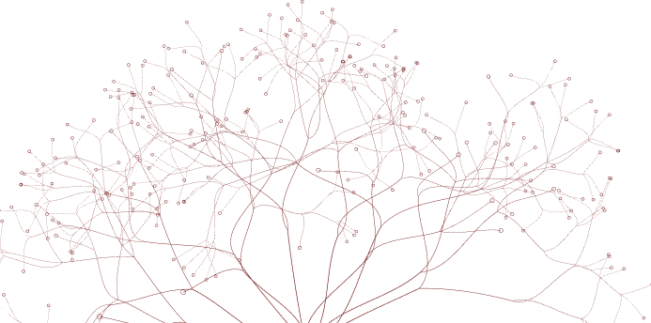 Red branching network on black background, resembling interconnected lines and nodes.