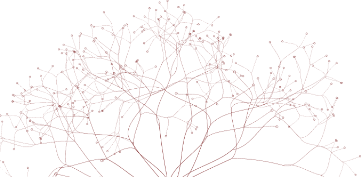 Red branching network on black background, resembling interconnected lines and nodes.