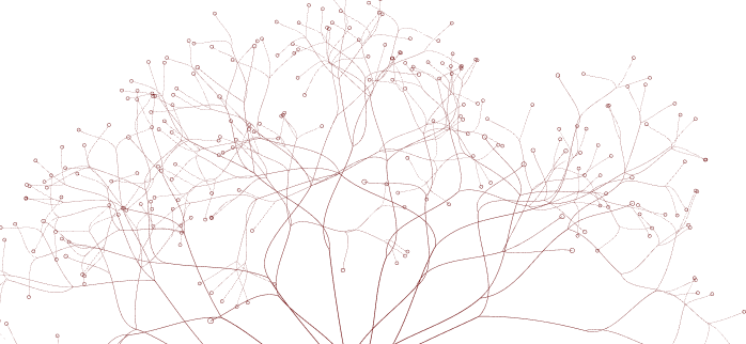 Red branching network on black background, resembling interconnected lines and nodes.