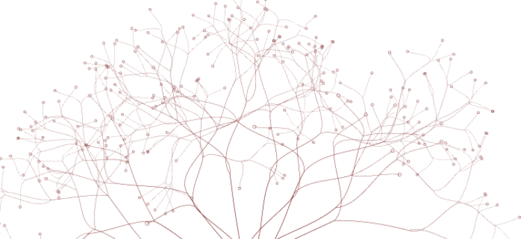 Red branching network on black background, resembling interconnected lines and nodes.