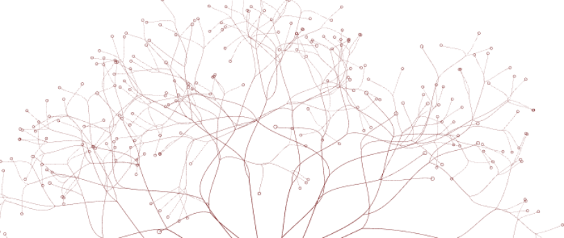 Red branching network on black background, resembling interconnected lines and nodes.