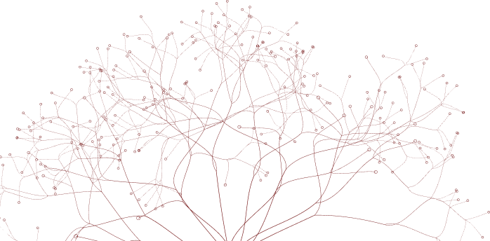 Red branching network on black background, resembling interconnected lines and nodes.